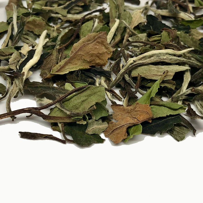 Bai Mu Dan